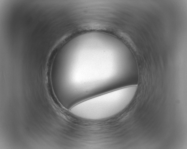 X0000068850395200605051023