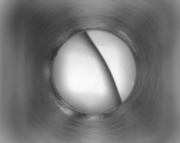 X0000068850405200605051023