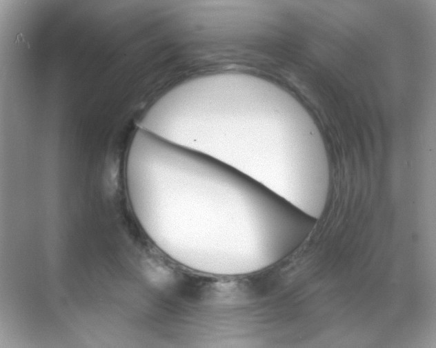 X0000068850406200605051023