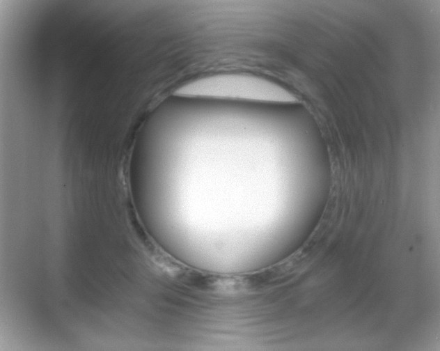 X0000068850415200605051023