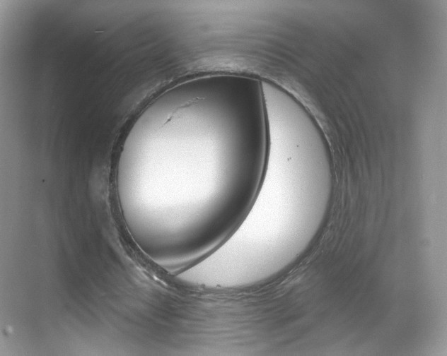 X0000068850434200605051022