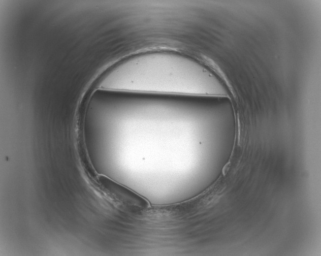 X0000068850435200605051022