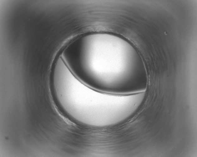 X0000068850438200605051022
