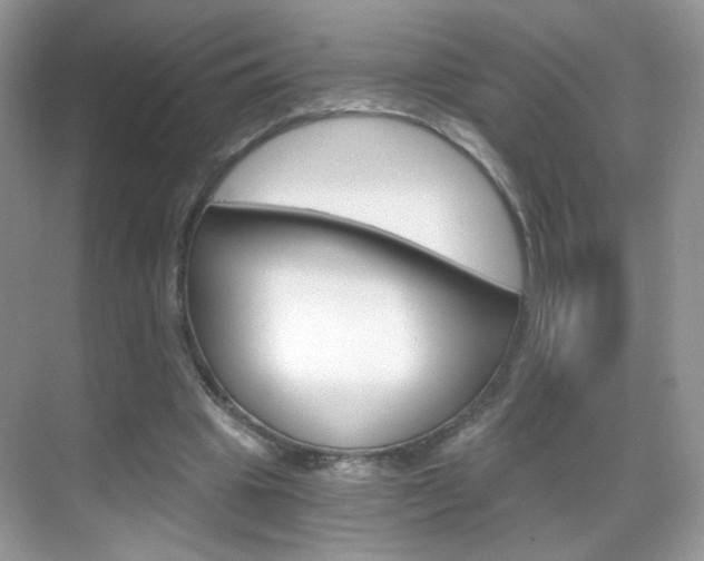 X0000068850441200605051022