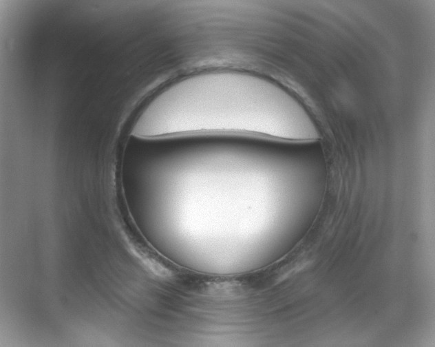 X0000068850446200605051022