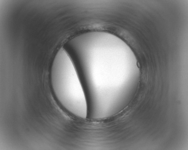 X0000068850449200605051022