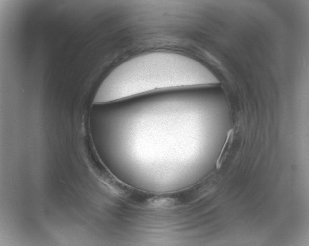 X0000068850452200605051022