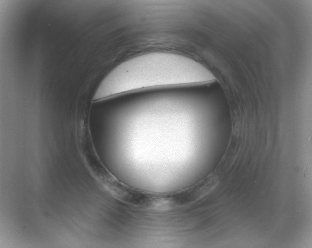 X0000068850456200605051022