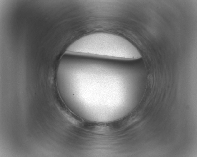 X0000068850458200605051022