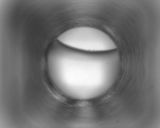 X0000068850459200605051022