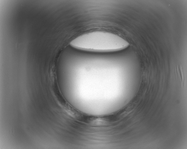 X0000068850460200605051022