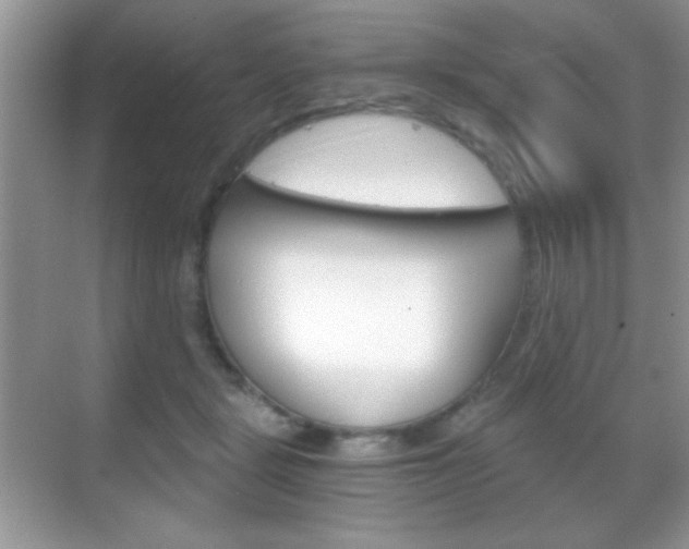 X0000068850461200605051022