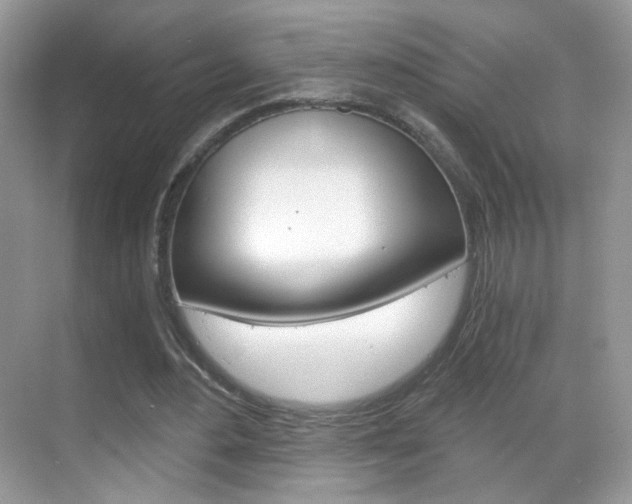 X0000068850484200605051021