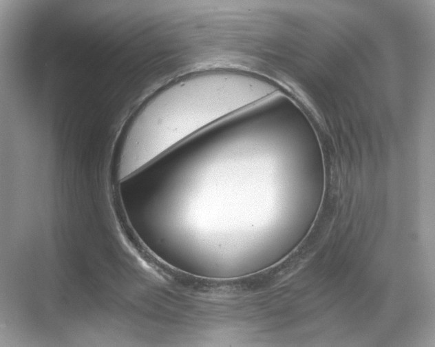 X0000068850485200605051021