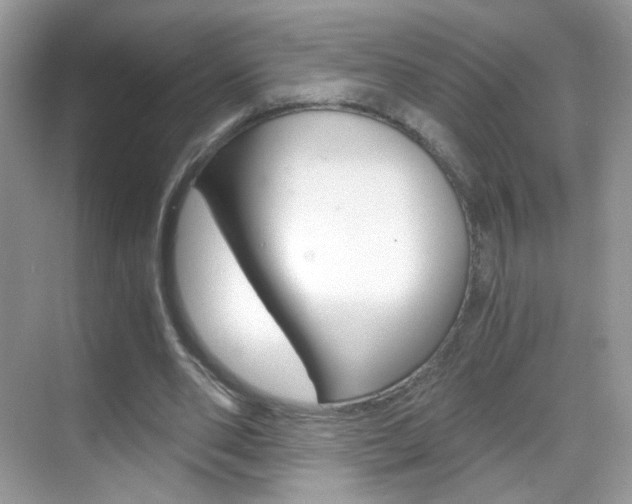 X0000068850486200605051021