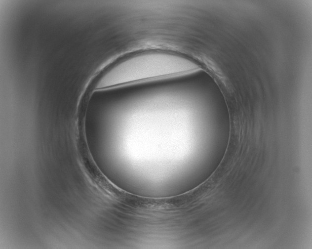 X0000068850488200605051021