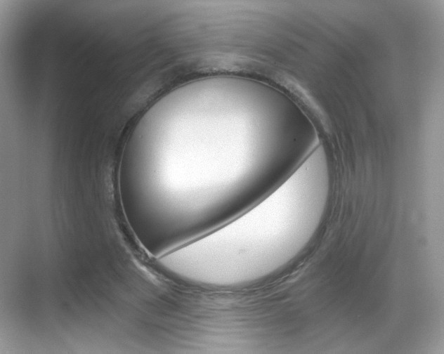 X0000068850489200605051021