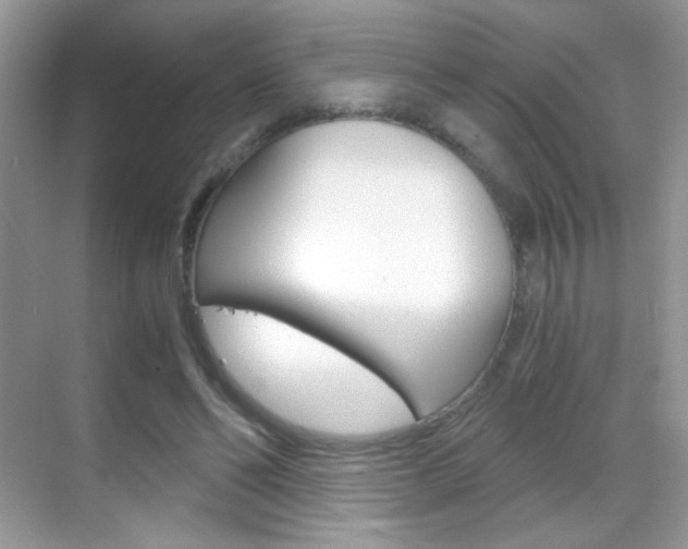 X0000068850494200605051021