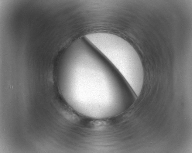 X0000068850512200605051021