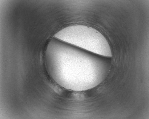 X0000068850520200605051021