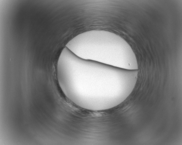 X0000068850523200605051021