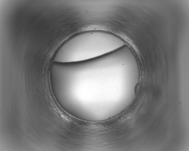 X0000068850529200605051020