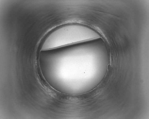 X0000068850531200605051020