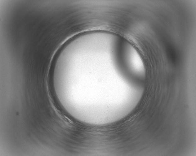 X0000068850532200605051020