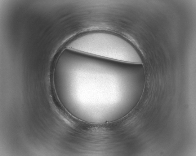 X0000068850535200605051020