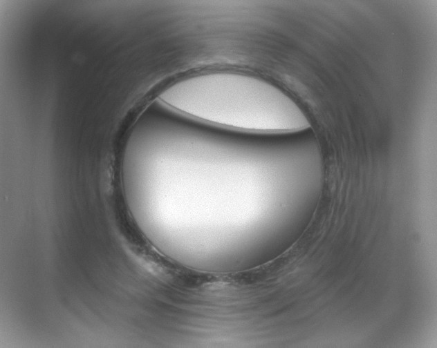 X0000068850544200605051020