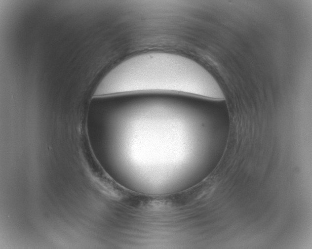 X0000068850546200605051020