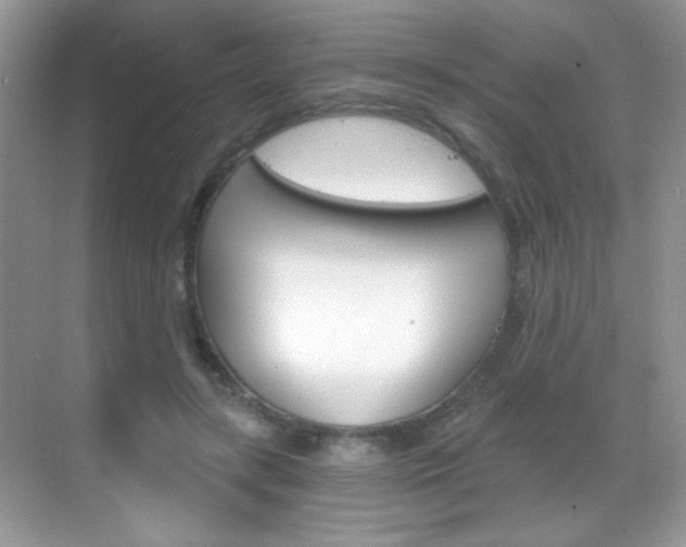 X0000068850547200605051020