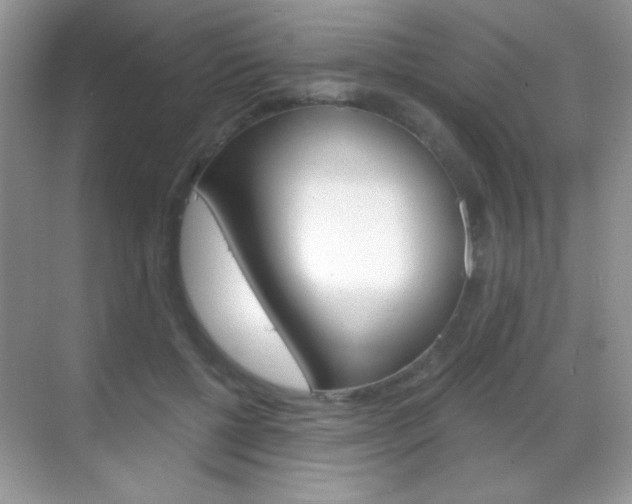 X0000068850552200605051020