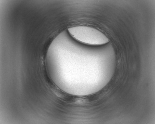 X0000068850555200605051020