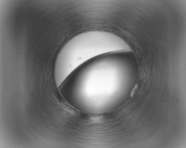X0000068850560200605051020