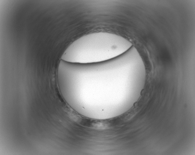 X0000068850561200605051020