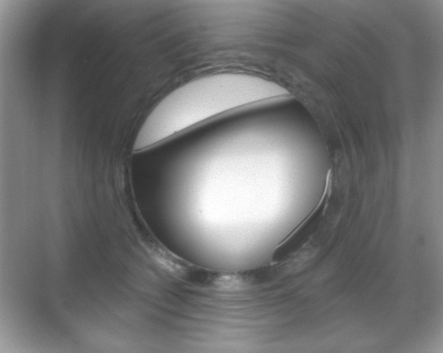 X0000068850562200605051020