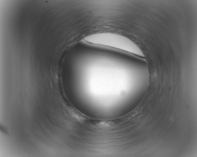 X0000068850566200605051021