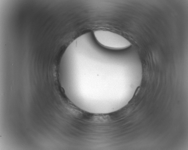 X0000068850571200605051021