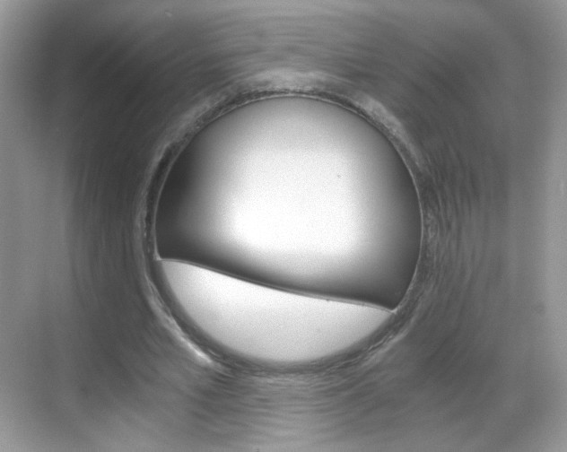 X0000068850581200605051020