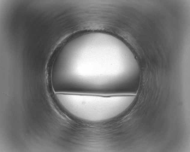 X0000068850584200605051020