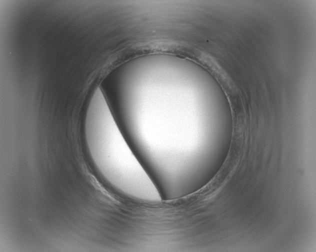 X0000068850585200605051020