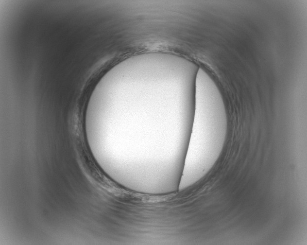 X0000068850587200605051020