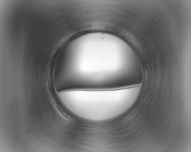 X0000068850588200605051020