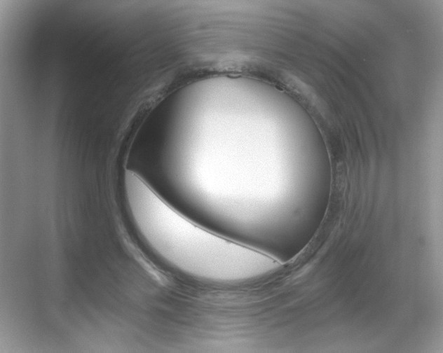 X0000068850589200605051020