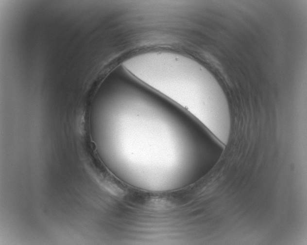 X0000068850596200605051020