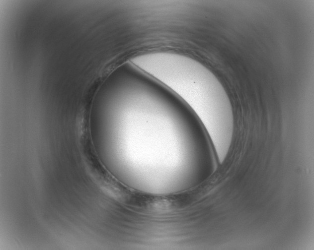 X0000068850600200605051020