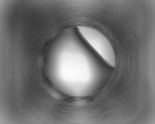 X0000068850601200605051020