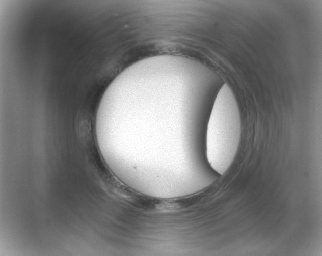 X0000068850603200605051019