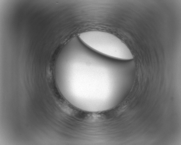 X0000068850607200605051019